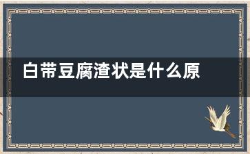 白带豆腐渣状是什么原因造成的 如何预防白带异常(女性分泌物像豆腐渣是怎么回事)